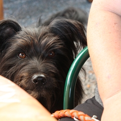 Urlaub im Schwarzwald (13)